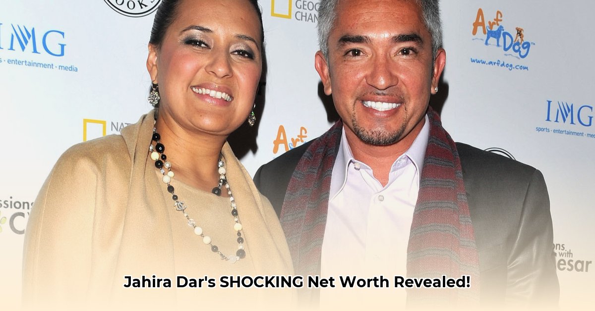 jahira-dar-net-worth